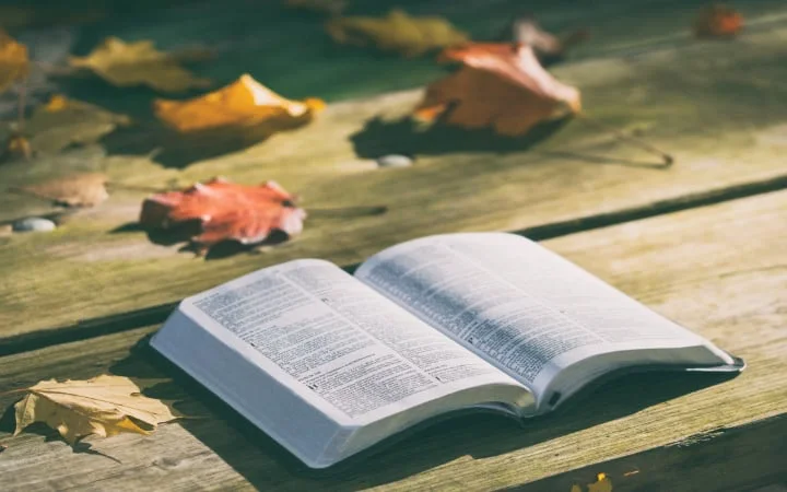 Living as a believer in difficult times: A lesson from Isaiah