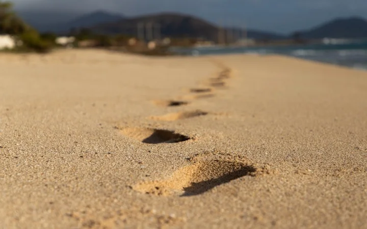 Follow Me: The two words that sum up the gospel and our purpose on the Earth