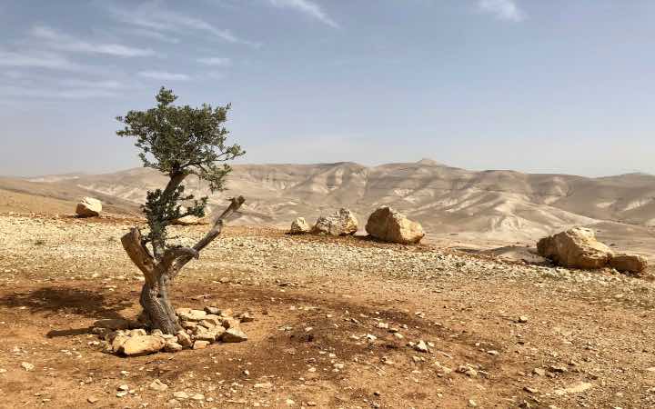 Life Lessons from Hebrews: Jericho and Jephthah