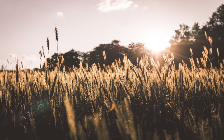 Who does Jesus say He is? Looking at some of the titles Jesus attributed to Himself
